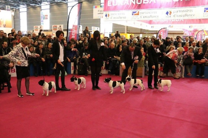 Du Clos De Saint Edern - Salon de l'agriculture, 1 er mars.